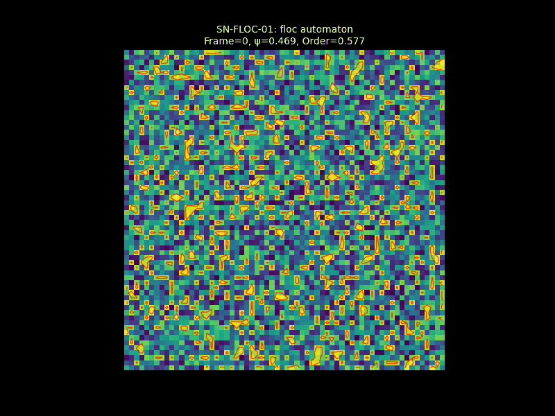 SN-FLOC-01_floc-automaton